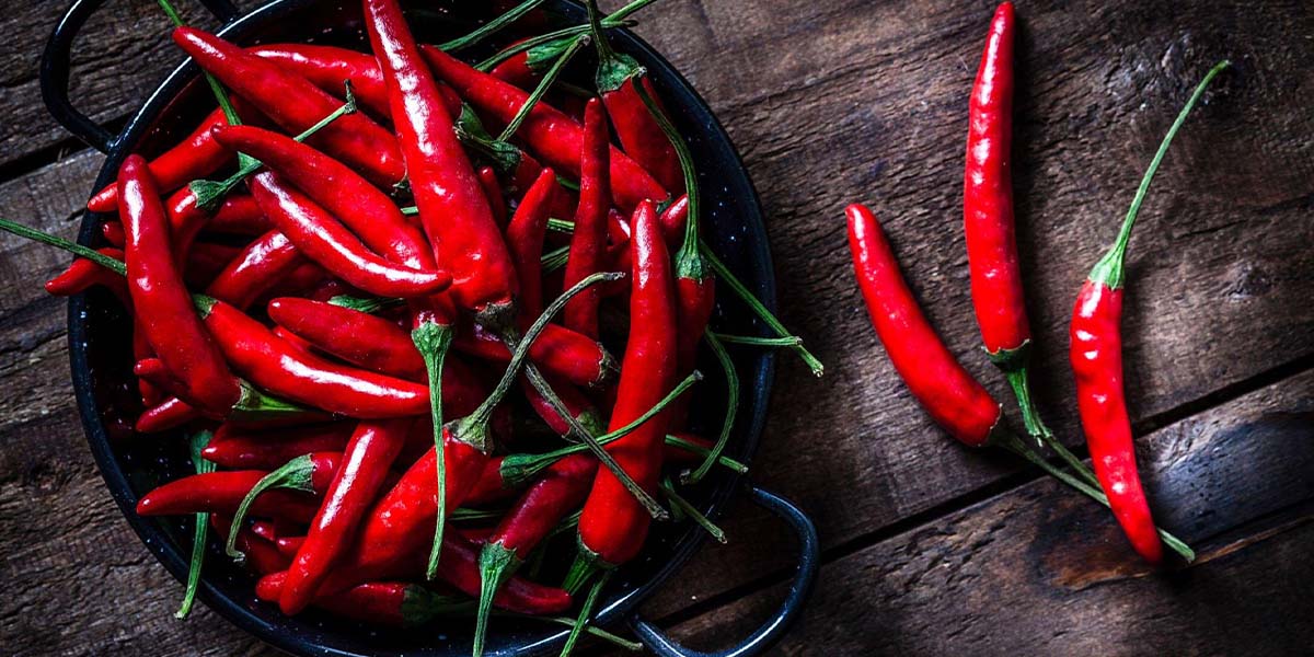 Brenda Gantt Chili Recipe Unveiling the MouthWatering Flavors of